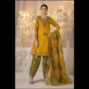 3-Piece Unstitched Naqashi Apparel EMB Organza Suit | LBX-1080
